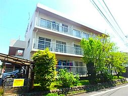 タンドリア伊野