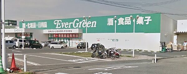 画像17:エバグリーン狭山店 312m