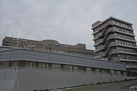 トーカンマンション医学町 207 ｜ 新潟県新潟市中央区医学町通２番町74-1（賃貸マンション1R・7階・20.66㎡） その14