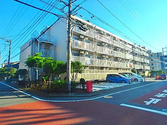 アカデミア清新_トップ画像