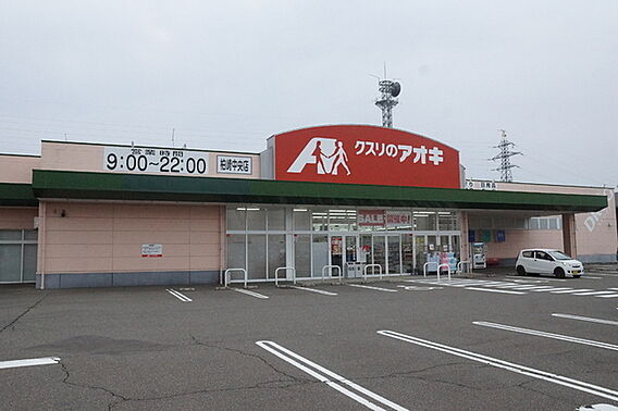 アルメリーナＡ棟_周辺_5