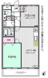 コーエイ日吉フラッツ 2LDKの間取図画像
