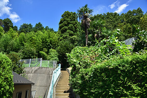 グリーンパーク日向_周辺_5
