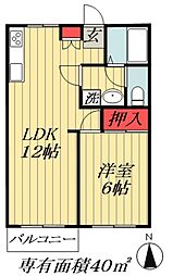 ビラ・ネプチューンA棟 1階