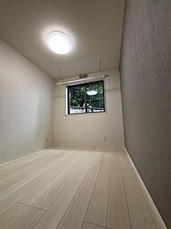 シャロンスプリング 1