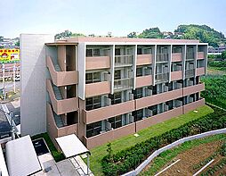 プランドール・サクラ