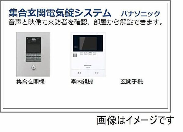 ベンガレンシス