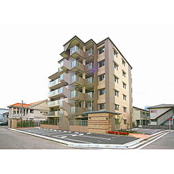 サーフウェーブ