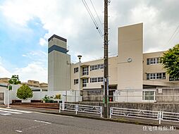 [周辺] 横浜市立川和中学校 1700m