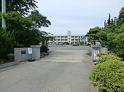 [周辺] 三浦市立初声小学校　1600m　 