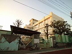 [周辺] 川崎市立向小学校　約120m