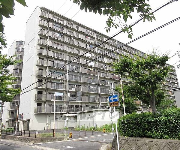 京都府京都市山科区西野様子見町(賃貸マンション1LDK・1階・39.60㎡)の写真 その1