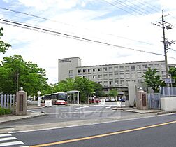 京都府京都市伏見区石田森南町（賃貸アパート1LDK・2階・32.33㎡） その17