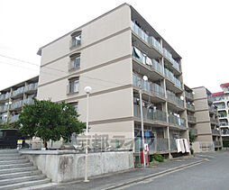 京阪本線 石清水八幡宮駅 徒歩10分の賃貸マンション