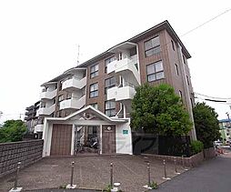 アルテミス大久保