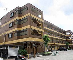 ＰＩＮＥ　ＦＩＥＬＤ