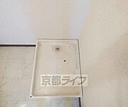 広々としています