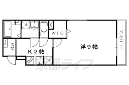セントーレア