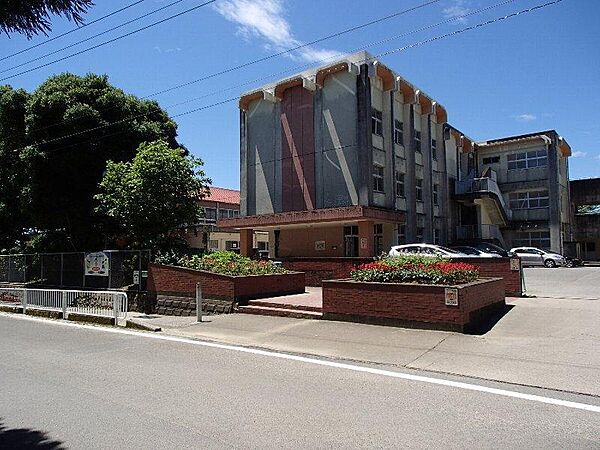 コンフォート・シュリンプ