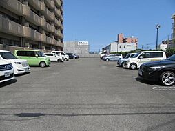 ユーミー新城