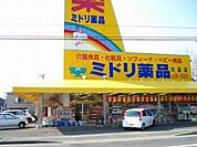 ミドリ薬品まで530ｍ