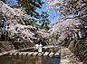 周辺：【公園】夙川公園まで105ｍ