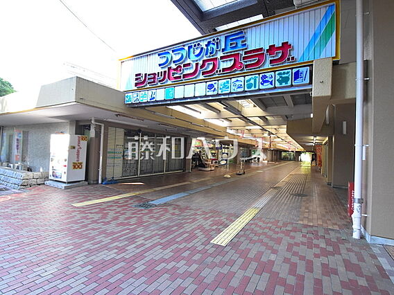 つつじが丘ショ...