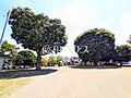 散田公園 (2...