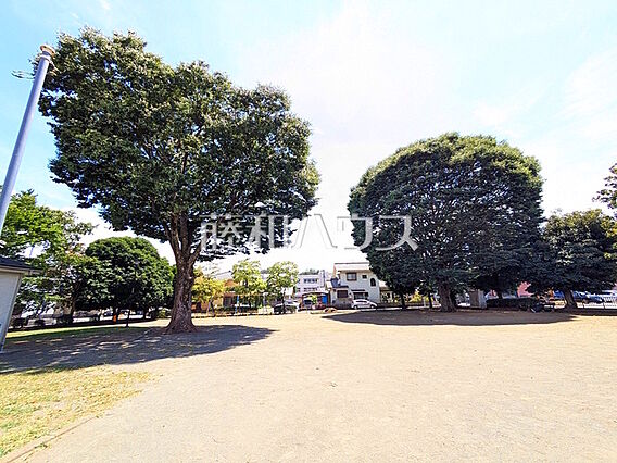 散田公園 (2...
