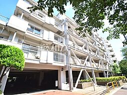 6 / 13