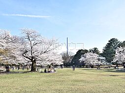 都立光が丘公園 (1150m)