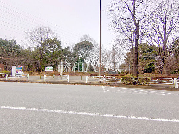 周辺を拡大表示