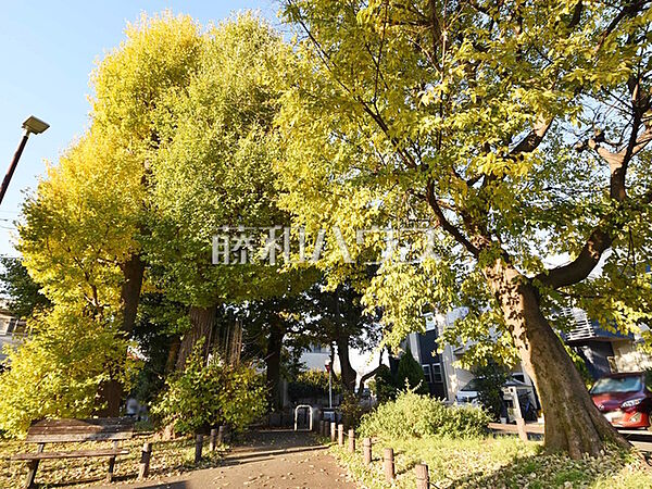 周辺を拡大表示