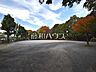 周辺：小川緑地 (580m)
