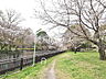 周辺：都立祖師谷公園 (880m)