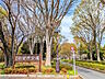 周辺：小金井公園 (300m)