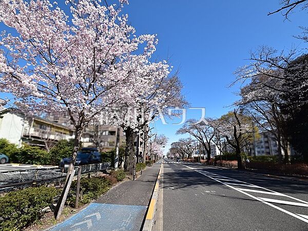 周辺を拡大表示