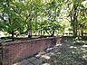 周辺：イチョウ公園 (310m)
