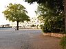周辺：東大和市立第一小学校 (650m)