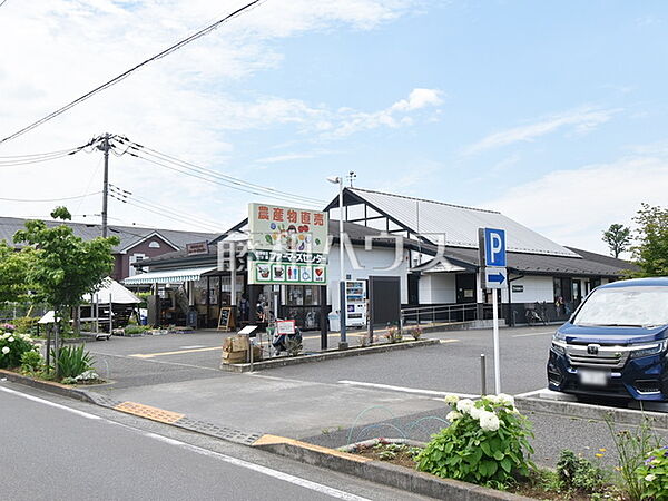 周辺を拡大表示