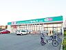 周辺：ドラッグセイムス下保谷店 (270m)