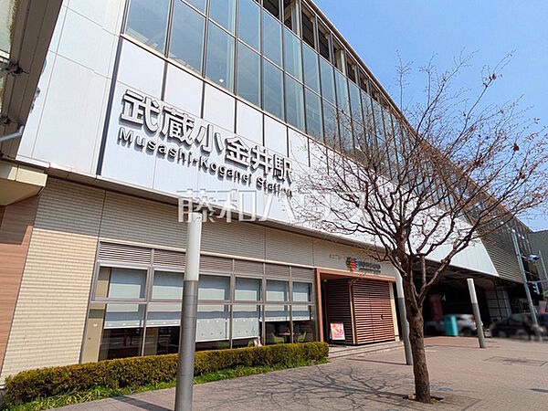 周辺を拡大表示