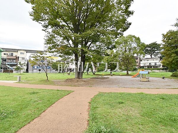 周辺を拡大表示