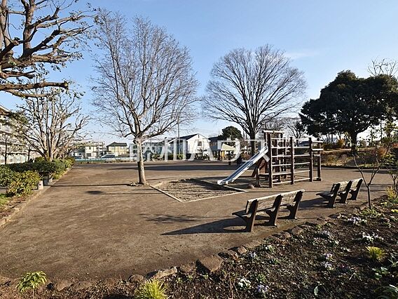 野火止公園 (...