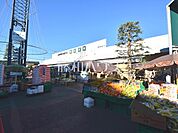 ジャパンミート卸売市場　東村山店 (480m)