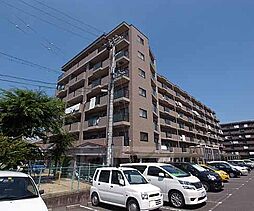 京阪宇治線 三室戸駅 徒歩5分の賃貸マンション