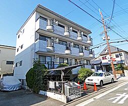 シャイニング桃山