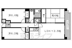 京阪宇治線 黄檗駅 徒歩15分の賃貸マンション 7階3LDKの間取り