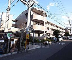 京阪宇治線 黄檗駅 徒歩15分の賃貸マンション