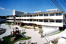 海草郡紀美野町下佐々・土地・122893
